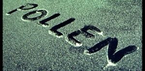 Safely Removing Pollen Will Save Your Paint
