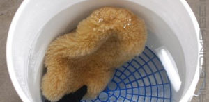 Product Review: DI Accessories Sheepskin Wash Mitt
