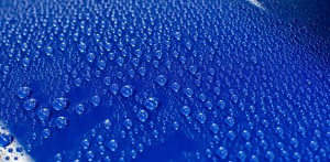 Product Review: Sonax Polymer Net Shield