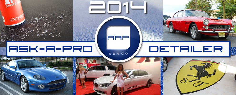 aap_recap_2014