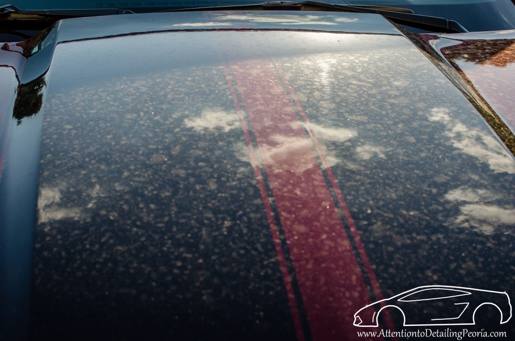 20130613-DSC_0002
