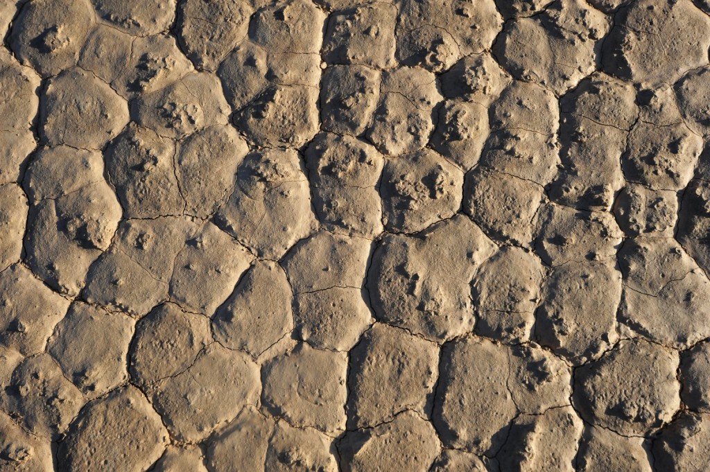 cali_drought_aap