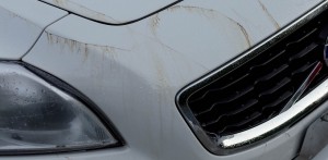 Product Review: CarPro Tar X Tar & Adhesive Remover