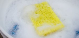 Product Review: DI Accessories Bug Sponge
