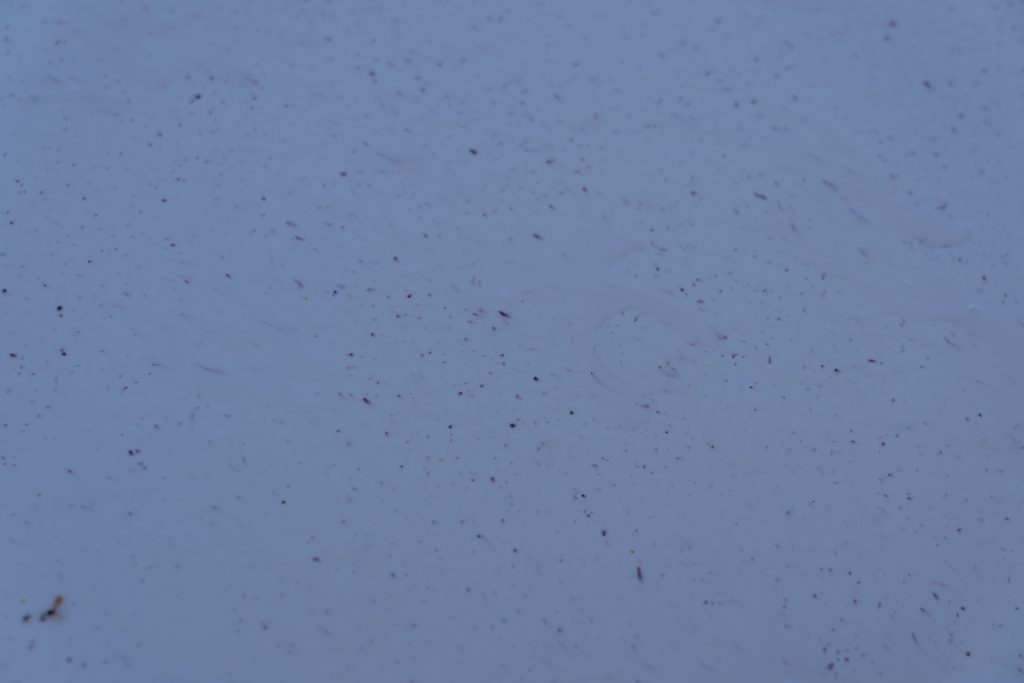iron deposits 1