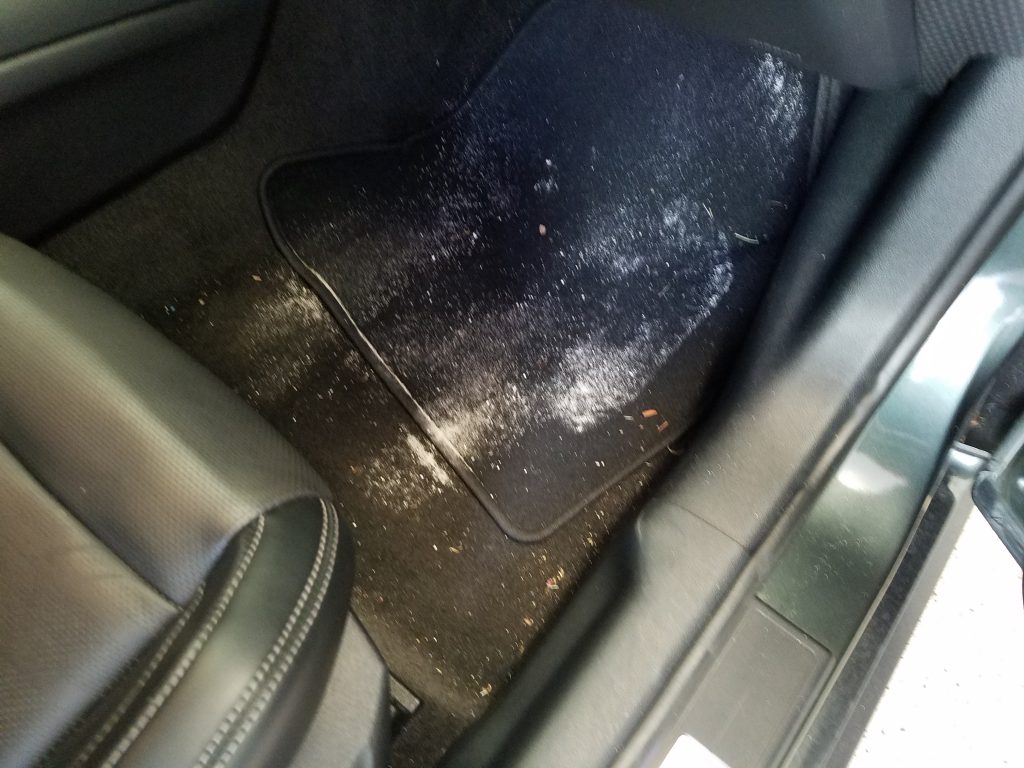 dirtycarpet
