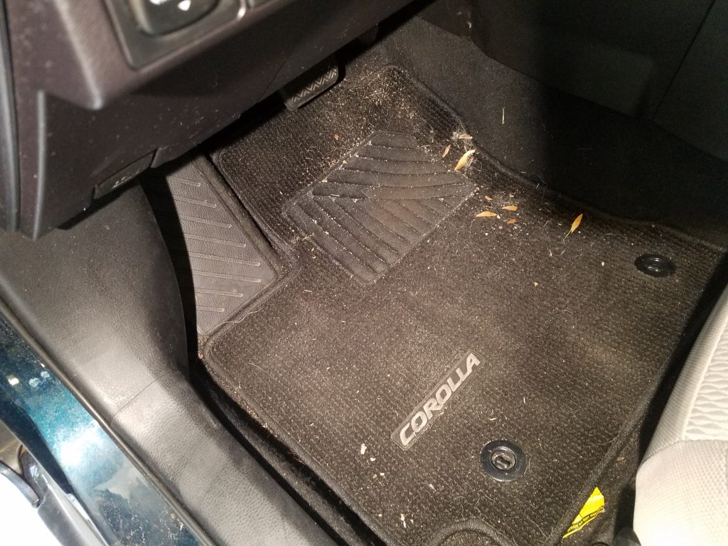 Dirty-Toyota-Carpet
