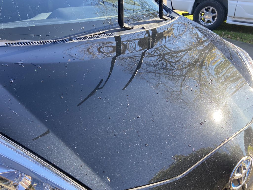 car-after-sheeting