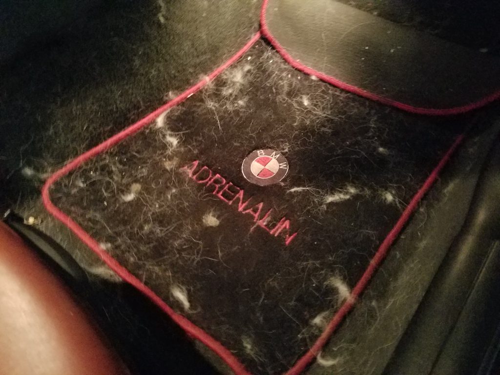 dog-hair-pic-floormat