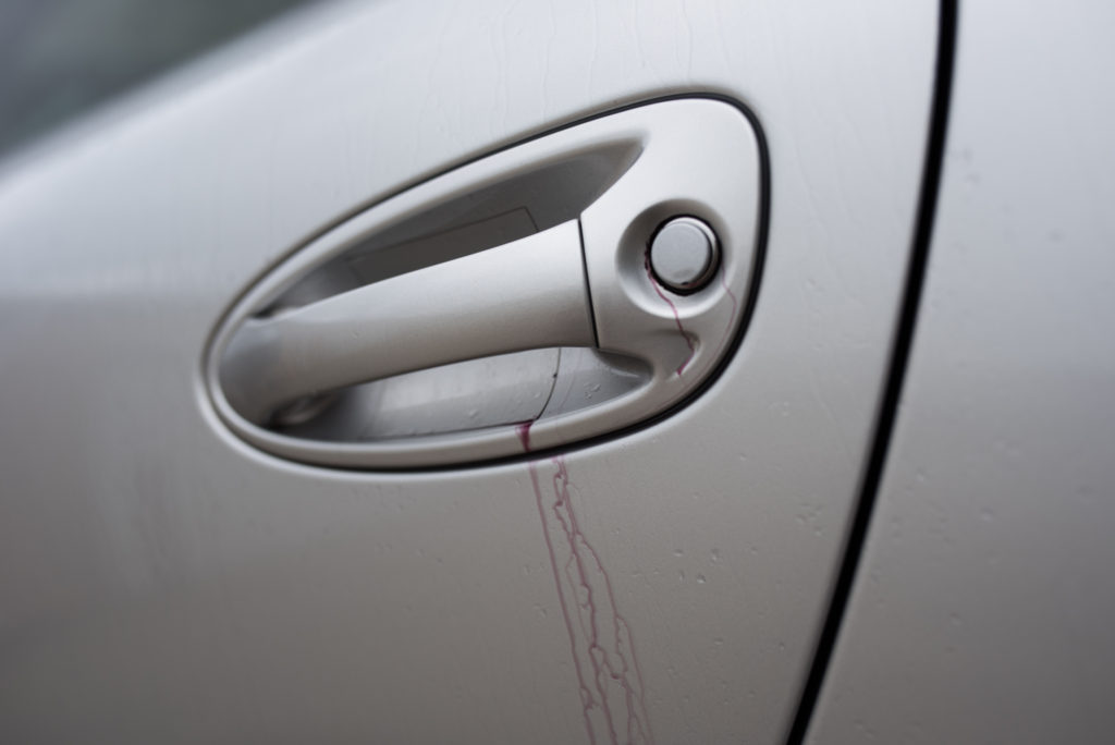 Porsche 911 Paint Detailing