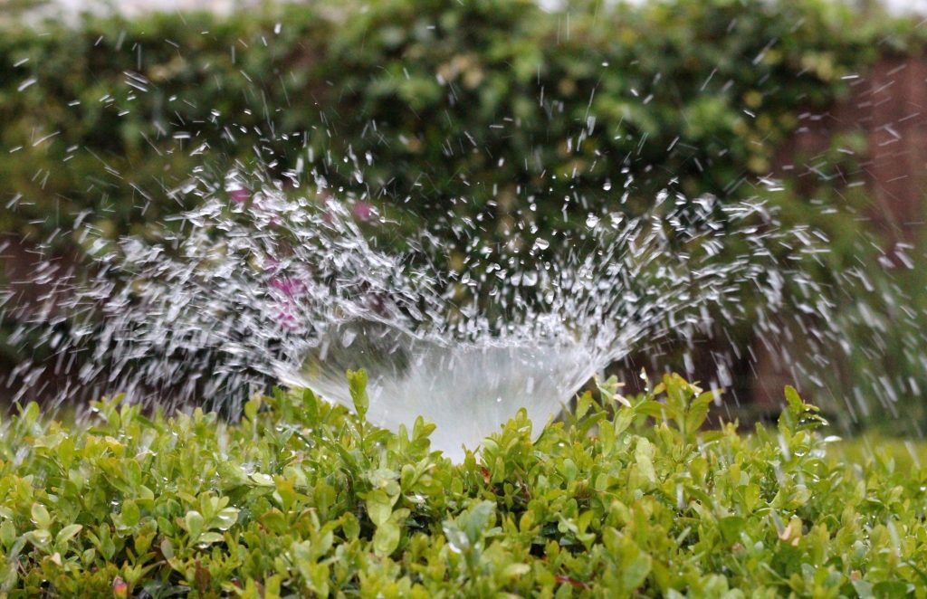 Sprinkler