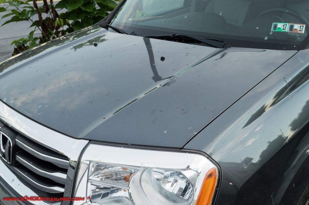 Heavy Contamination (Tree Sap) On Vehicle