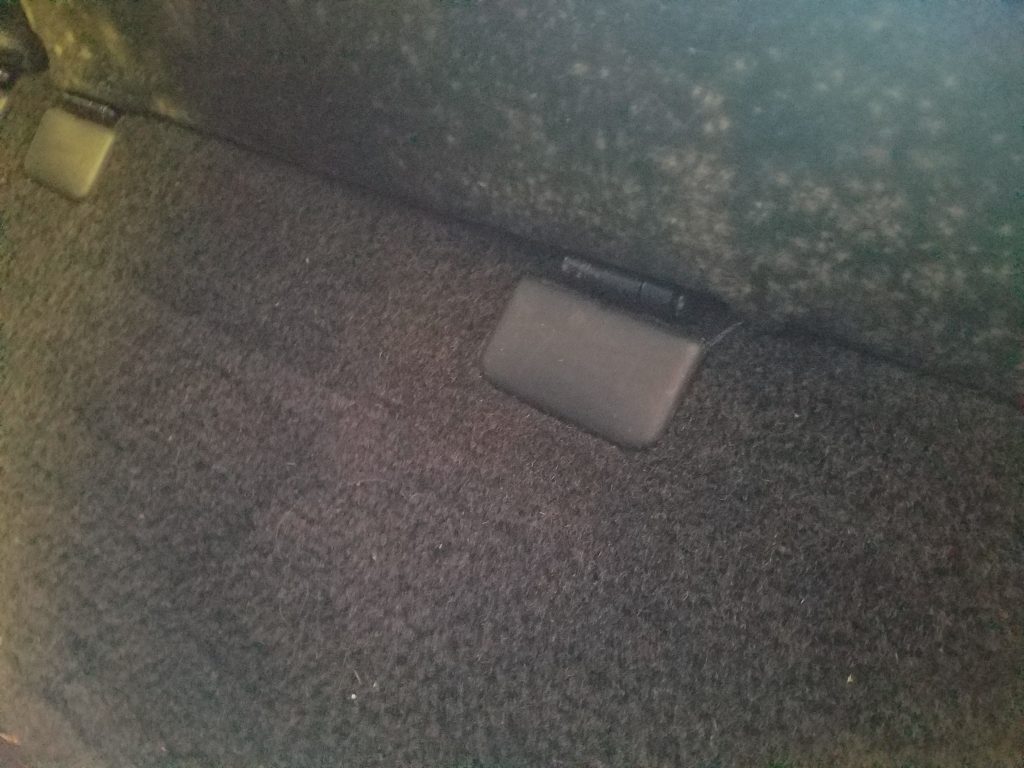 close look at mold carpets