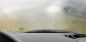 fog fight