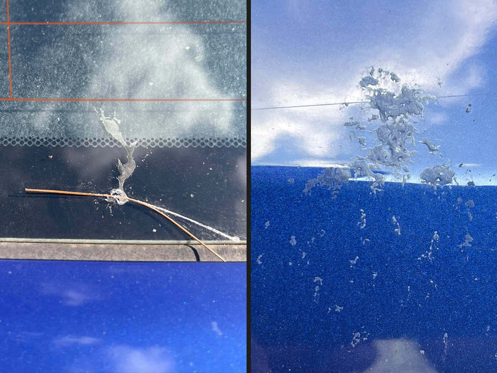 Sap on car paint and window
