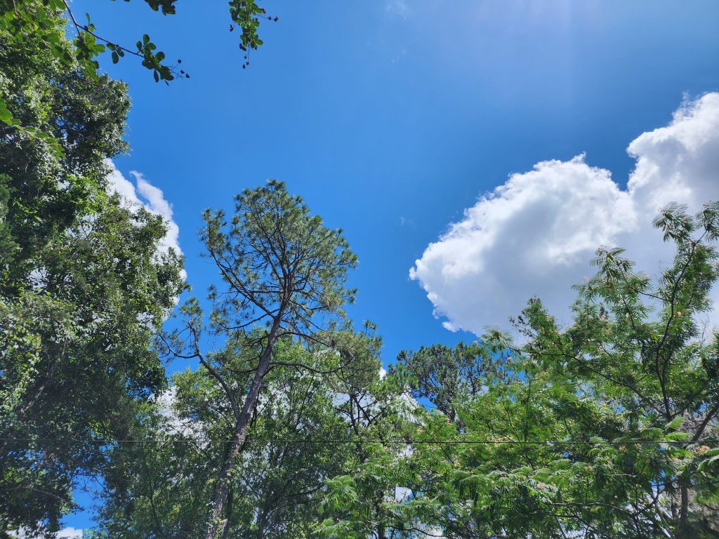 Photo of the sky
