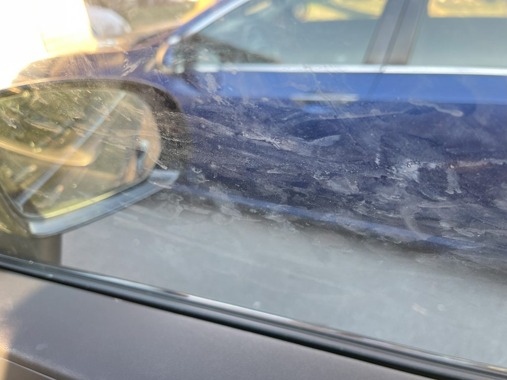 Dog slobber and nose prints on windows