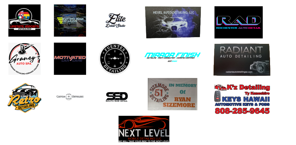 Detailing Madness Business Logos