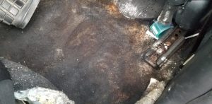 The Problem with New Detailers Jumping Into Cars With Mold and Disaster Detailing