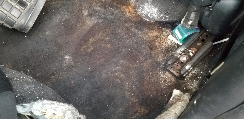 The Problem with New Detailers Jumping Into Cars With Mold and Disaster Detailing