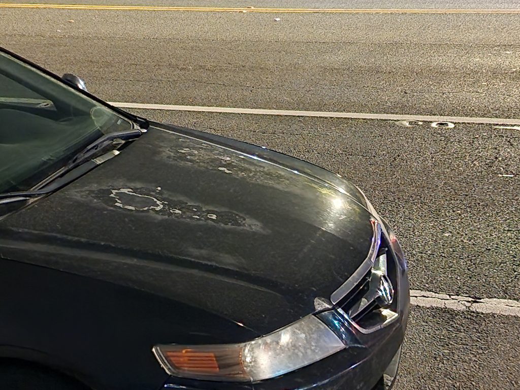 Clear Coat Failure