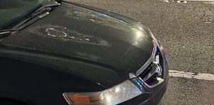 The Cost Of Not Taking Detailing Seriously