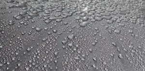 Expanding The Consumer's Perception Of Detailing