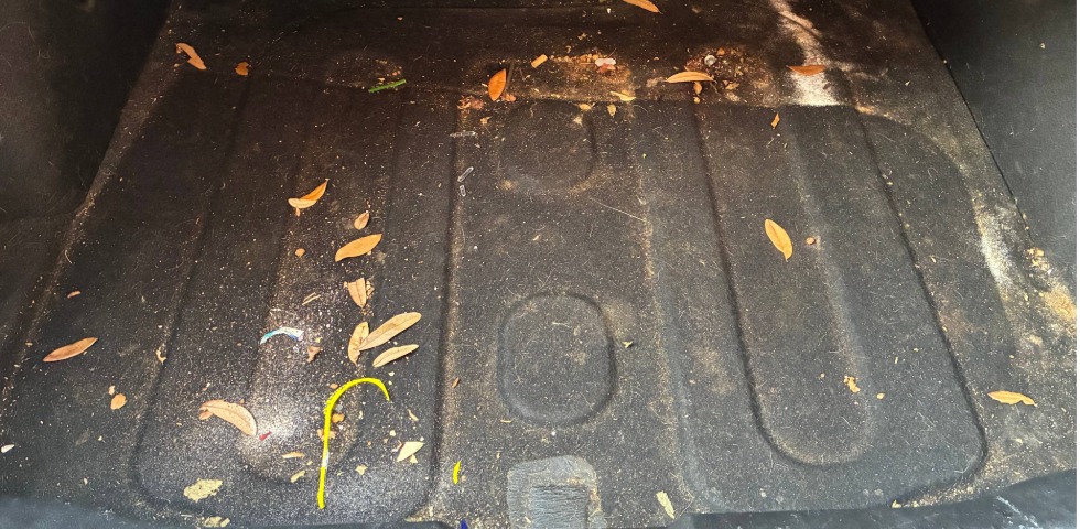 trunk carpets before