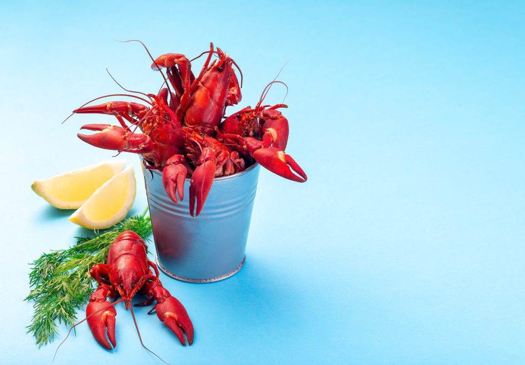 crab in a bucket