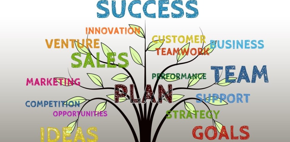 Company Struggles And Lessons I Took Or Experienced