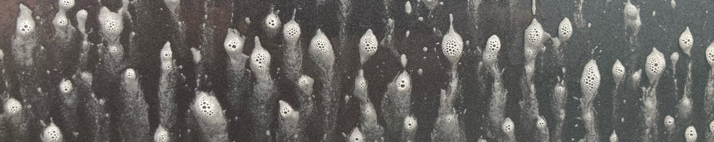 Degreaser