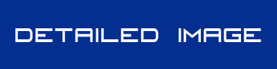 Detailed Image Logo