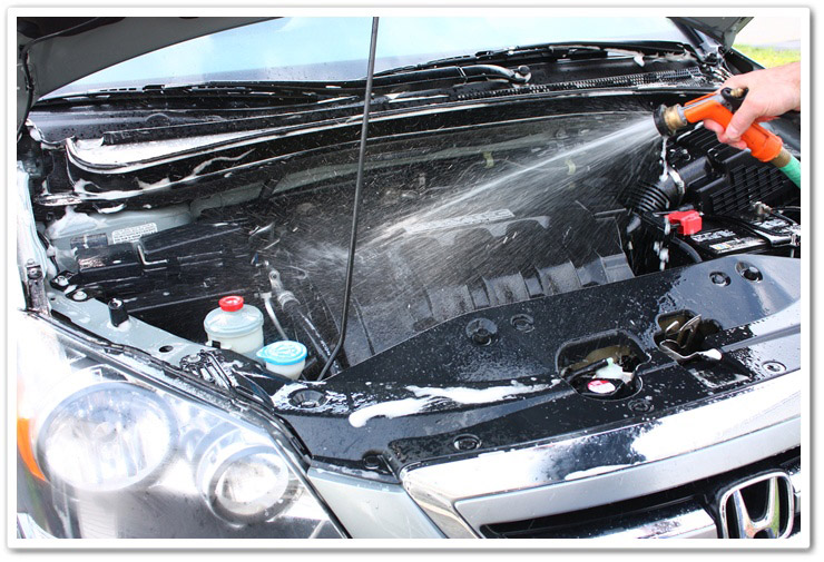 Rinsing degreaser off of your engine bay Rinsing degreaser off of your engine bay