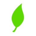 Detailed Image Going Green - Green Products
