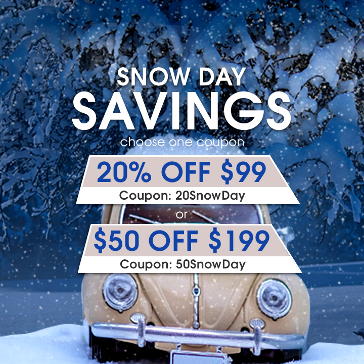 Snow Day Savings - Choose One Coupon - 20% Off $99 Coupon 20SnowDay or  $50 Off $199 Coupon 50SnowDay