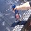303 Automotive Tonneau Cover & Convertible Top Cleaner - 16 oz Alternative View #7