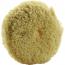 Lake Country 100% Twisted Wool Cutting Pad