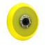 Lake Country Dual Action (DA) Backing Plate