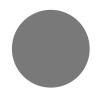 Rupes Wet Finish Foam Abrasive Discs P3000 20 pack - 6"
