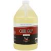 Shine Supply Cool Guy - 128 oz